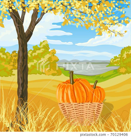 Autumn landscape with yellow meadow, trees, lake and big pumpkins in a basket Autumn landscape with yellow meadow, trees, lake and big pumpkins in a basket 70129406