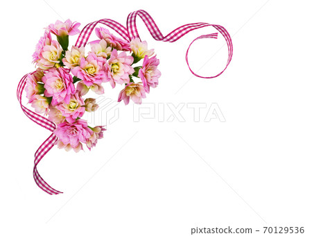 Pink calanchoe flowers and checked silk twisted ribbon in a corner arrangement 70129536