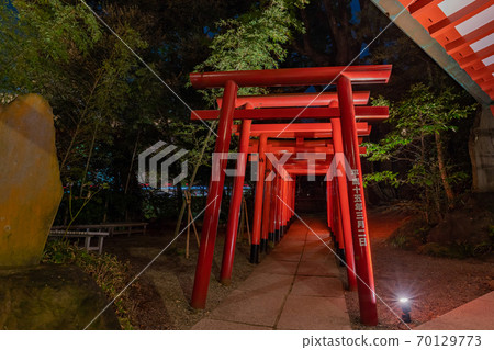 Kinomiya Shrine, Atami City, Shizuoka Prefecture, illuminated at night Kinomiya Shrine, Atami City, Shizuoka Prefecture, illuminated at night 70129773