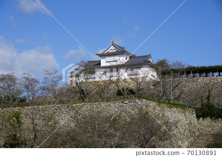"Tsuruyama Park (Tsuyama Castle Fort)", one of the 100 cherry blossom landmarks in Tsuyama City, Okayama Prefecture "Tsuruyama Park (Tsuyama Castle Fort)", one of the 100 cherry blossom landmarks in Tsuyama City, Okayama Prefecture 70130891