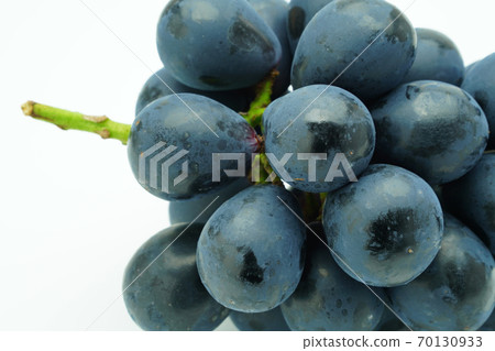 Nagano Purple Nagano Purple 70130933