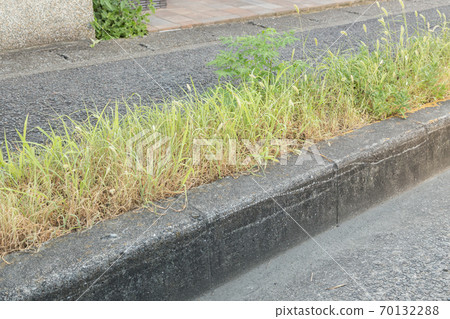 人行道旁的雜草 70132288