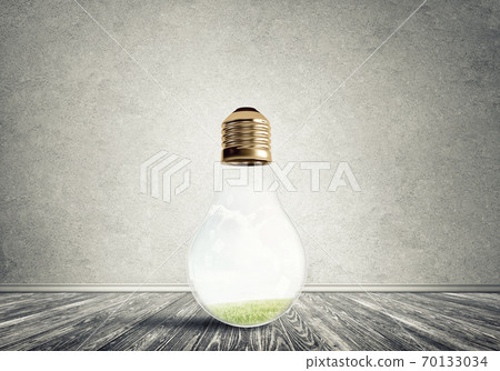 Light bulb in room Light bulb in room 70133034