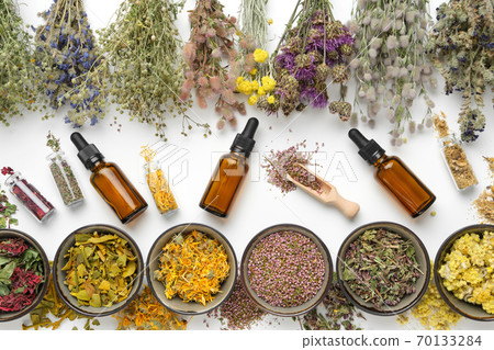 Bowls of dry medicinal herbs, healing plants bunches, bottles of dry medicinal plants and dropper bottles of essential oil on white background. Top view, flat lay. Alternative medicine. 70133284
