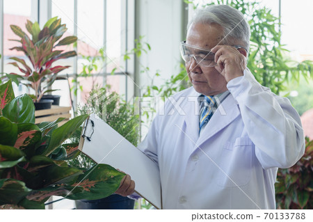 portrait of old man with a seedling portrait of old man with a seedling 70133788