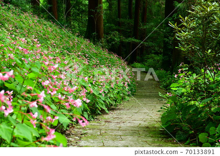 Iwakuji Temple Iwakuji Temple 70133891