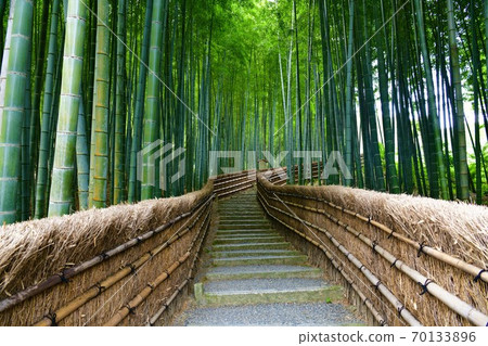 Bamboo grove of Nanno Buddhist temple Bamboo grove of Nanno Buddhist temple 70133896