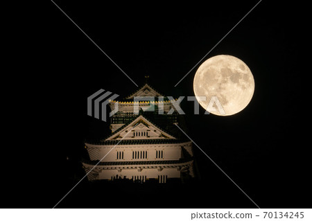 Gifu Castle and the Moon 70134245