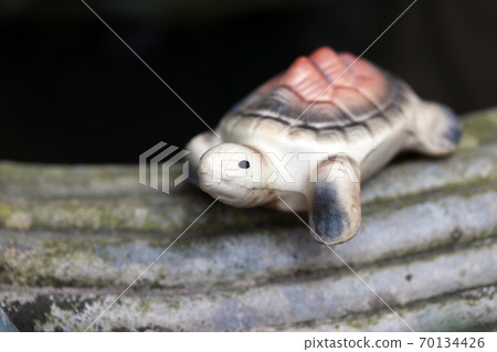 Baked clay of turtle put decorate on the edge of cement pot. Baked clay of turtle put decorate on the edge of cement pot. 70134426