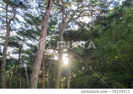 Namhansanseong (Historic Site No. 57), Gwangju, Gyeonggi-do 70134511