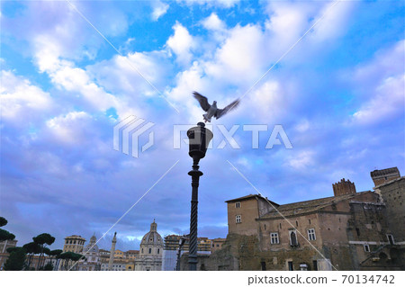 Austria and flying pigeons Austria and flying pigeons 70134742