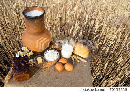 Organic food - milk, bread, eggs, cheese, butter lying on the table, against the background of a wheat field. 70135336