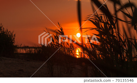Red sunset sky over Gulf of Finland, summer evening 70135546