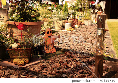 Halloween gardening Halloween gardening 70135749