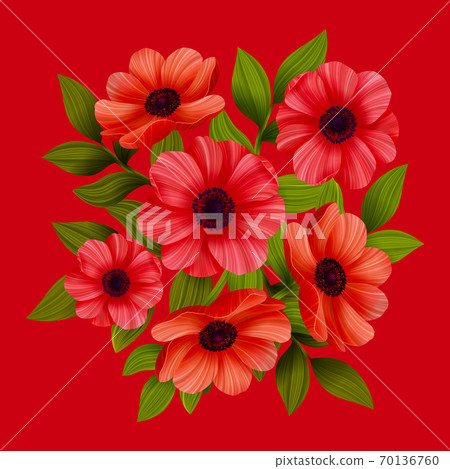 Flowers. Red poppies on red background. Vector illustration. Flowers. Red poppies on red background. Vector illustration. 70136760