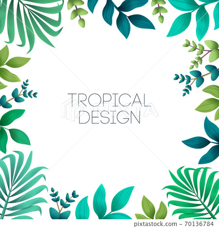 Colorful summer tropical background with exotic palm leaves and hibiscus flowers. Vector floral background.. Colorful summer tropical background with exotic palm leaves and hibiscus flowers. Vector floral background.. 70136784