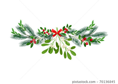 Bright Coniferous Tree Branch and Mistletoe Arranged in Semicircular Vector Composition Bright Coniferous Tree Branch and Mistletoe Arranged in Semicircular Vector Composition 70136845