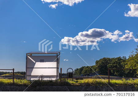 An empty bus stop illuminated by sunlight An empty bus stop illuminated by sunlight 70137016