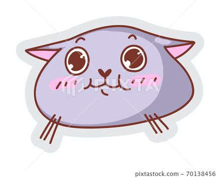 Frightened cat muzzle isolated on white background Frightened cat muzzle isolated on white background 70138456