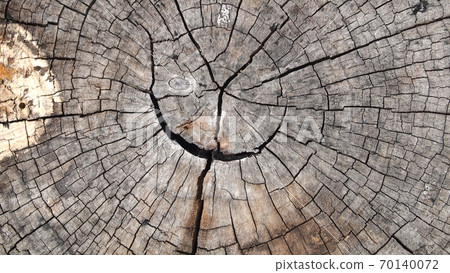 Old cracked wood 70140072