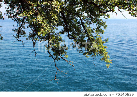 Lungomare Volosko-Opatija-Lovran, seaside promenade details, Kvarner bay, Croatia, Europe Lungomare Volosko-Opatija-Lovran, seaside promenade details, Kvarner bay, Croatia, Europe 70140659