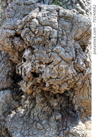 Lungomare Volosko-Opatija-Ika-Icici-Lovran, seaside promenade details, Kvarner bay, Croatia, Europe Lungomare Volosko-Opatija-Ika-Icici-Lovran, seaside promenade details, Kvarner bay, Croatia, Europe 70140662