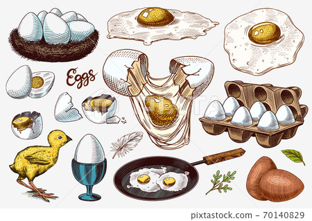 Eggs and chick, farm product, scrambled omelette, packing and nest. Engraved hand drawn vintage 70140829