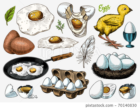 Eggs and chick, farm product, scrambled omelette, packing and nest. Engraved hand drawn vintage 70140830