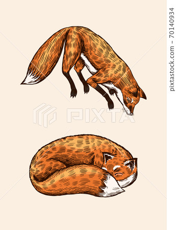 Wild Red Fox Forest Ginger Animal Flying And Stock Illustration 70140934 Pixta