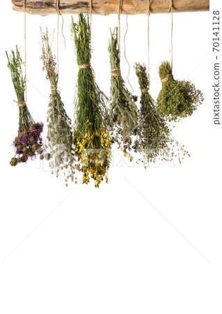 Hanging bunches of medicinal herbs on white background. Herbal medicine. Hanging bunches of medicinal herbs on white background. Herbal medicine. 70141128