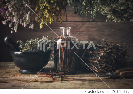 Comarum palustre (Potentilla palustris) stems and infusion bottle, hanging bunches of medical herbs, mortar of thyme flowers. Comarum palustre (Potentilla palustris) stems and infusion bottle, hanging bunches of medical herbs, mortar of thyme flowers. 70141152