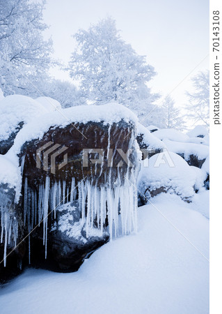 Row of frosty icicles in nature Row of frosty icicles in nature 70143108