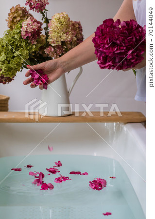 Partial view of woman throwing hydrangea petals in bath, selective focus 70144049