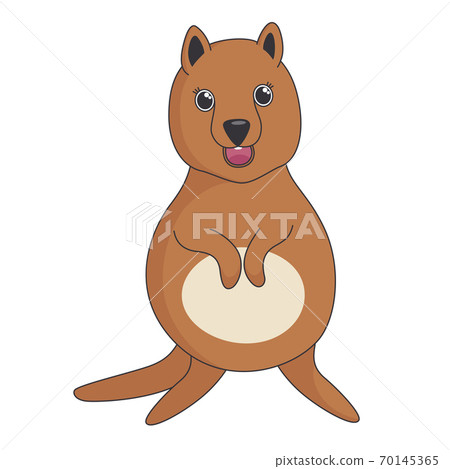 Quokka, a smiling small animal amusing people by its cut look. Vector in cartoon style 70145365