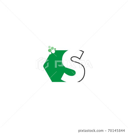 Letter S on hexagon icon design 70145844