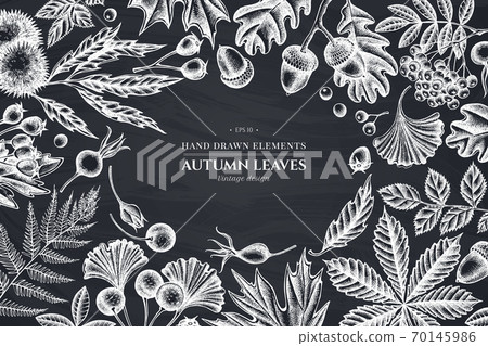 Monochrome design with chalk fern, dog rose, rowan, ginkgo, maple, oak, horse chestnut, chestnut Monochrome design with chalk fern, dog rose, rowan, ginkgo, maple, oak, horse chestnut, chestnut 70145986