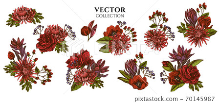 Flower bouquet of colored viburnum, hypericum, tulip, aster, leucadendron, amaryllis Flower bouquet of colored viburnum, hypericum, tulip, aster, leucadendron, amaryllis 70145987