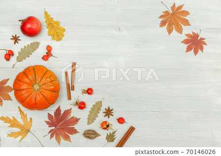 Background with a composition of dry autumn bright leaves and pumpkins. flatlay on a light grey wooden background with space Background with a composition of dry autumn bright leaves and pumpkins. flatlay on a light grey wooden background with space 70146026