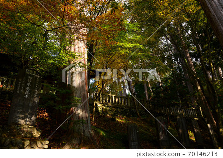 秩父Sannin神社 秩父Sannin神社 70146213