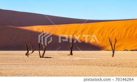 Desolated dry landscpe and dead camel thorn trees in Deadvlei pan with cracked soil in the middle of Namib Desert red dunes, Sossusvlei, Namibia, Africa Desolated dry landscpe and dead camel thorn trees in Deadvlei pan with cracked soil in the middle of Namib Desert red dunes, Sossusvlei, Namibia, Africa 70146264