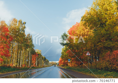 wet highway and autumn trees with colorful foliage wet highway and autumn trees with colorful foliage 70146771