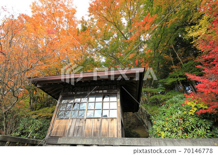 Autumn leaves of Sanmine Shrine 70146778