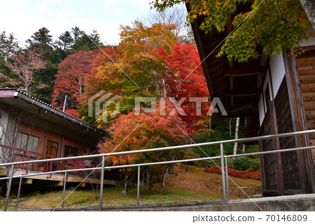 Sanmine寺廟秋葉 Sanmine寺廟秋葉 70146809