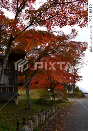 Sanmine寺廟秋葉 Sanmine寺廟秋葉 70146810
