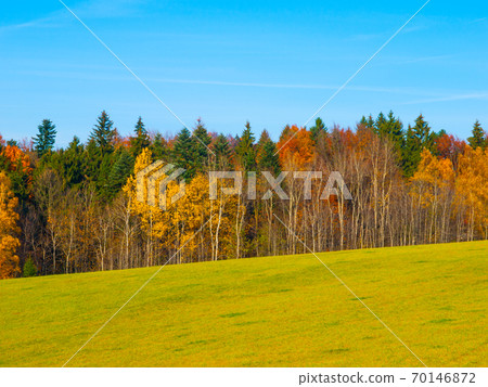 Autumn meadow and forest Autumn meadow and forest 70146872