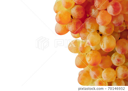 part of grapes vine, white background part of grapes vine, white background 70146932