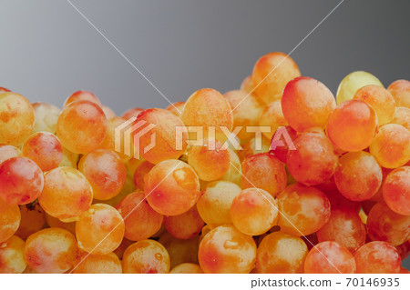 heap of grapes vine, gray background heap of grapes vine, gray background 70146935