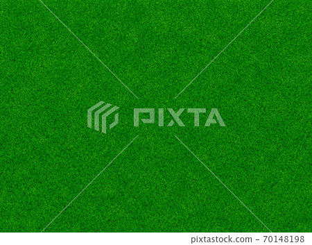 鬱鬱蔥蔥的草的形象/背景材料 70148198