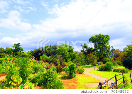 Scenery of Kyoto Botanical Gardens in Sakyo Ward, Kyoto City, Botanical Gardens, Autumn, Flowers, [September] 70148952