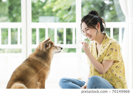 Young woman and dog practicing hands 70149966